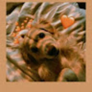 Meet your Posher, Mia